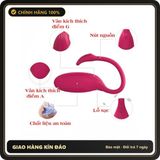(Che Tên) Trứng rung thiên nga Flamingo siêu cao cấp điều khiển qua app điện thoại [đổi tên khi giao] Hỗ Trợ 24/7
