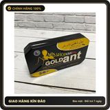 (Che Tên) Hộp thiếc vàng đen GOLDant USA 20V cao cấp giúp phục hồi nhanh ở nam Chuẩn Auth