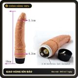 (Che Tên) Dương Vật Giả Sweet Partner Cong Rung – Thiết Kế Silicon Gân Nổi, Kích Thích Đa Điểm, Sử Dụng 2 Pin AA Giá Rẻ - Hàng Mới Về