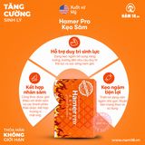 Kẹo Sâm Tăng Cường Sinh Lý Nam Hamer Pro USA chính hãng - hỗ trợ tăng cường sinh lý, hàng chuẩn nguồn gốc rõ ràng, dùng đều đặn mỗi ngày - giao hàng che tên kín đáo