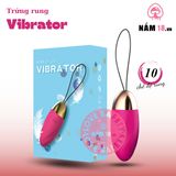 Trứng Rung Vibrator chính hãng - chất liệu an toàn cho da, dễ vệ sinh, êm ái khi dùng - giao hàng che tên kín đáo
