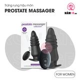 Máy Rung Hậu Môn Prostate Massager 12 Chế Độ Rung chính hãng - chất liệu an toàn cho da, dễ vệ sinh, êm ái khi dùng - giao hàng che tên kín đáo