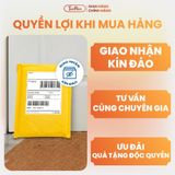 Bao Cao Su TeeRex Snug Fit Siêu Mỏng, Siêu Ôm Sát Size 49mm Phân Loại Hộp 3/10