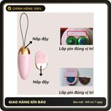 (Che Tên) Trứng Rung Gladiator Massage Cho NữHana Hỗ Trợ 24/7