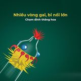 Bao cao su Shell Dino T-rex - Hộp 1 bao nhiều vòng gai, bi nổi lớn + 1 bao Shell Performax (Hộp 2 cá - Gwen Shop Chính Hãng