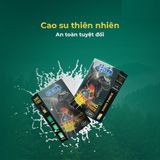 Bao cao su Shell Dino T-rex - Hộp 1 bao nhiều vòng gai, bi nổi lớn + 1 bao Shell Performax (Hộp 2 cá - Gwen Shop Chính Hãng