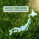 Bao cao su Okamoto Harmony - Gân sọc, siêu mỏng - Hộp 10 cái - Gwen Shop Chính Hãng