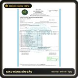 (Che Tên) Bao cao su Goldentime Longer & Stronger 3in1 siêu mỏng, gân gai, kéo dài thời gian – Hộp 3 bao - Hàng Mới Về