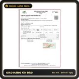 (Che Tên) Viên ngậm Coreena hỗ trợ giảm ho, giảm nhiệt miệng, giảm ngứa đau rát cổ họng - Hàng Mới Về