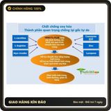 (Che Tên) Viên sủi Hemotil Plus, hộp 10 viên, bổ tinh trùng, tăng cường sinh lý nam giới Hỗ Trợ 24/7