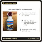 (Che Tên) [Combo Liệu Trình] Nhất Nam Dương - Tăng Cường Sinh Lý - Khoẻ Tinh Trùng Nam Giới Cao Cấp Bảo Đảm