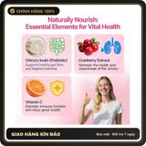 (Che Tên) SresXrefas Probiotics Women 60 Tỷ Lợi Khuẩn 15 Chủng Men Vi Sinh Nữ Hỗ Trợ Tiêu Hóa, Tăng Miễn Dịch Và Tiết Niệu Bảo Mật Tuyệt Đối