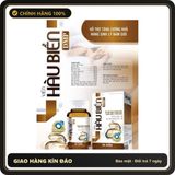 (Che Tên) Viên Bổ Thận HÀU BIỂN DMP - giúp Bổ thận,tăng cường chức năng sinh lý nam giới - Hộp 30 viên - Hàng Mới Về