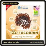 (Che Tên) [Xuất Kèm VAT] Gói 248 Viên Bí Kíp Cho Vóc Dáng Thon Gọn, Giảm Cân - Ventuno Kaicho Herb Lactic Acid Bacteria 881904 Chuẩn Auth