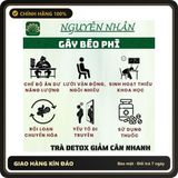 (Che Tên) Trà giảm cân 14 ngày - Tuệ Quang - Detox giảm cân nhanh, vòng eo kiến, giảm cân cấp tốc - Hộp 50 lọc Bảo Mật Tuyệt Đối