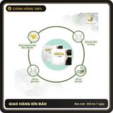 (Che Tên) [Giảm mỡ bụng] Viên Uống Detox Night Chính Hãng - Giảm Mỡ Bụng Cứng Chuyên Sâu, Thải Đốc Cơ Thể, Cho Vòng Eo Con Kiến Chuẩn Auth