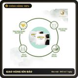 (Che Tên) [Giảm mỡ bụng] Viên Uống Detox Night Chính Hãng, Giảm Cân Dùng Thử 15 Ngày, Chuyên Giảm Mỡ Bụng Cứng - Hồng Minh Pharma Chuẩn Auth