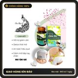 (Che Tên) [VGB] Viên uống giảm béo đốt cháy mỡ bụng giảm béo body thanh lọc cơ thể giảm thèm ăn giảm cân an toàn hiệu quả Hỗ Trợ 24/7