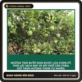 (Che Tên) Bưởi Non Rừng Sấy Khô Thái Lát – Dùng Pha Trà, Detox, Hỗ Trợ Giảm Cân Hiệu Quả Giao Nhanh Toàn Quốc