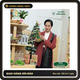 (Che Tên) COMBO 3 hộp Bánh gạo lứt hữu cơ Mộc Việt, bánh không đường dành cho người tiểu đường, giảm cân Chuẩn Auth
