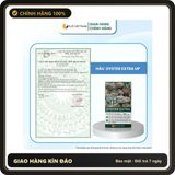 (Che Tên) Viên Uống Hàu UP Oyster Extra, Cải Thiện Sih Lý Lọ 30 Viên Hộp Trắng Kín