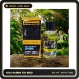 (Che Tên) Popper 30ml USA, Hàng Chính Hãng, Kích Thích Hưng Phấn Cực Mạnh, Hít Là Phê Ngay ( ) Bảo Mật Tuyệt Đối