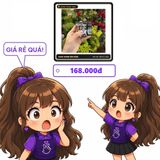 (Che Tên) Nước D10 Hàng Thái Lan 10ML Hòa Tan Cực Nhanh Hộp Trắng Kín