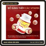 (Che Tên) TPBVSK Mua 2 Tặng 1 - Kingrose Hỗ Trợ Điều Hòa Kinh Nguyêt, Hết Chậm Kinh, Giảm Rong Kinh, Sinh Lý Nữ - Tặng Túi Chườm Bảo Mật Tuyệt Đối