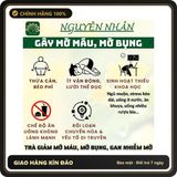 (Che Tên) Trà lá nam 10 vị - Tuệ Quang - Hỗ trợ giảm cân, thải mỡ không tích nước, mát gan - Hộp 50 lọc Giao Nhanh Toàn Quốc