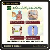 (Che Tên) Trà lá nam 10 vị - Tuệ Quang - Hỗ trợ giảm cân, thải mỡ không tích nước, mát gan - Hộp 50 lọc Giao Nhanh Toàn Quốc