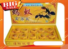 Hàng Chuẩn Nhập Khẩu - Kiến Càng Đen Tây Tạng Lẻ 1 Viên Mayidalaowan 10 viên - hàng có sẵn, giao nhanh toàn quốc
