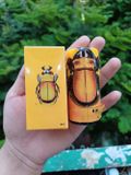 Bản Nhập Khẩu Cao Cấp - Tinh dầu pp con bọ 40ml USA LGBT mẫu 2 Bọ vàng, giao hàng kín đáo