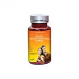 Viên uống PQA Mật Nhân Vàng - Bồi bổ sức khỏe, tăng cường sinh lý nam giới - mẫu mới