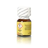 Popper Chính Hãng Tăng Cảm Xúc Cho Cuộc Yêu Dirty PIG Poppers 10ml - Snapshop Chính Hãng