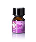 Popper Chính Hãng Tăng Cảm Xúc Cho Cuộc Yêu Kinky Monster Ultra Strong Poppers 10ml - Snapshop Chính Hãng