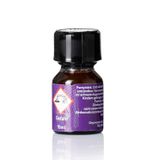 Popper Chính Hãng Tăng Cảm Xúc Cho Cuộc Yêu Super Extreme Slut Poppers 10ml - Snapshop Chính Hãng
