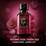 Popper Loại Mạnh Cho Người Đã Quen Dùng Popper DS USA Golden Cock Pink Passion - Chai 30ml - Snapshop Chính Hãng