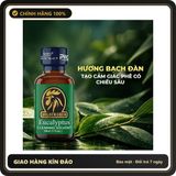 Nước Hoa Hít Tạo Hưng Phấn Cho Hai Người Popper PWD USA Golden Cock Eucalyptus - Chai 30ml - Snapshop Chính Hãng