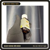 Tinh Dầu Hít Thư Giãn Dành Cho Người Lớn Popper Jungle Plus 30ml - Snapshop Chính Hãng
