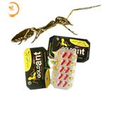 Viên uống hỗ trợ tăng cường sinh lý nam giới GOLD Ant USA dạng viên Hộp 20 Viên Chính Hãng An Toàn Tiện Lợi Giao Nhanh Toàn Quốc