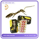 Viên uống hỗ trợ tăng cường sinh lý nam giới GOLD Ant USA dạng viên Hộp 20 Viên Chính Hãng An Toàn Tiện Lợi Giao Nhanh Toàn Quốc Bản Tiêu Chuẩn