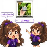 Viên uống hỗ trợ tăng cường sinh lý nam giới Hộp 12 khăn lau chống xuất tinh sớm Peineili Chính Hãng An Toàn Tiện Lợi Giao Nhanh Toàn Quốc Loại Tốt