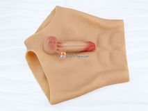 Quần Dương Vật Giả Size To Đặc Ruột Siêu Mềm Có Múi Gwenshop Chính Hãng