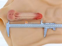 Quần Dương Vật Giả Size To Đặc Ruột Siêu Mềm Có Múi Gwenshop Chính Hãng