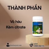 Đàn Ông Hiện Đại Vững Phong Độ Với Oyster Extract Vitatree Gwenshop Chính Hãng