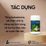 Đàn Ông Hiện Đại Vững Phong Độ Với Oyster Extract Vitatree Gwenshop Chính Hãng Cao Cấp