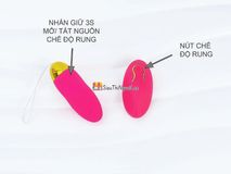 Quần Dương Vật Giả Rỗng Ruột Kèm Trứng Rung Điều Khiển Từ Xa Gwenshop Chính Hãng Cao Cấp