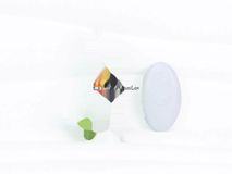 Máy Mát Xa Quần Lót Butterfly Siêu Mềm Remote Điều Khiển Từ Xa Gwenshop Chính Hãng Bản Đủ