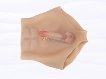 Quần Dương Vật Giả Size Nhỏ Đặc Ruột Siêu Mềm Có Múi Gwenshop Chính Hãng Hàng Chuẩn
