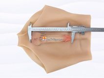 Quần Dương Vật Giả Size Nhỏ Đặc Ruột Siêu Mềm Có Múi Gwenshop Chính Hãng Hàng Chuẩn